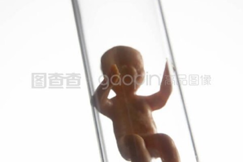 http://changchun.vdtfzz.com/post/197.html|长春试管助孕