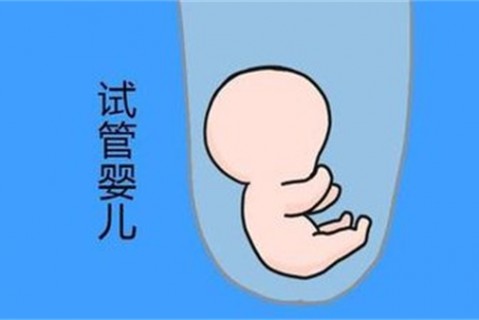 http://changchun.vdtfzz.com/post/194.html|长春新闻中心